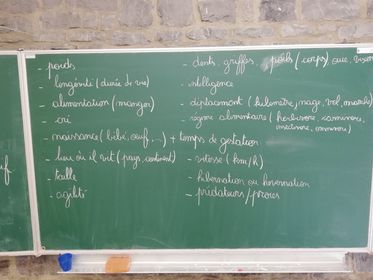 Des exposés animaliers
