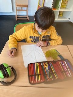 Dessin scientifique à partir d&rsquo;une feuille d&rsquo;érable