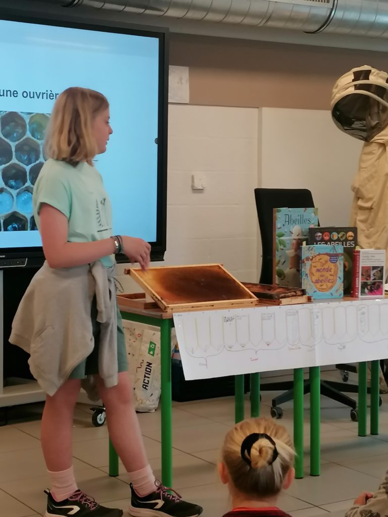 COP de Lilwenn sur les abeilles