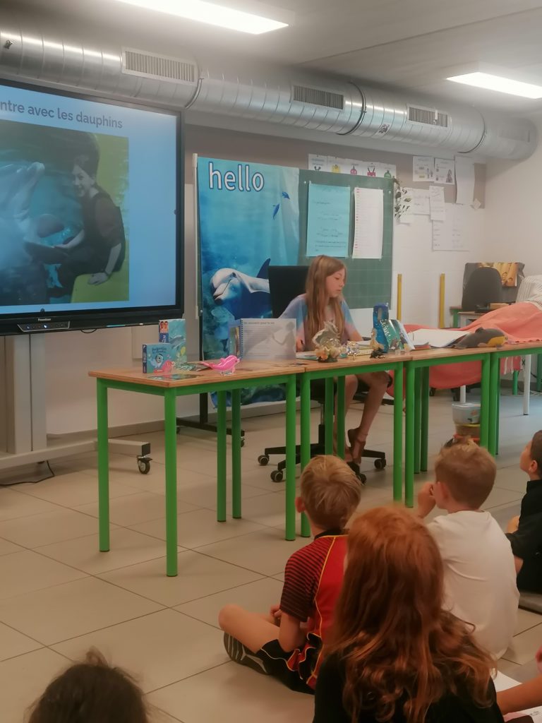 COP de Emie sur les dauphins