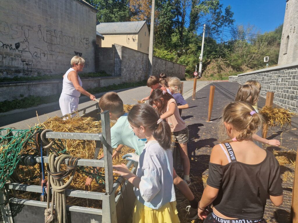 Paillage des potagers